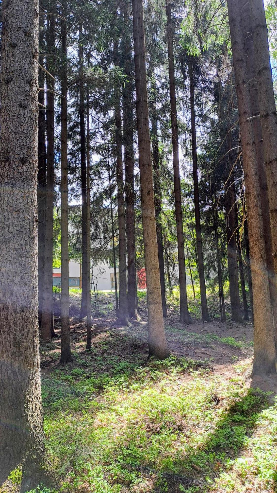 Plne Vybaveny Apartman Pod Mumlavskym Vodopadem, Zahrada S Ohnistem, Idealni Vychozi Bod Pro Turistiku, U Cesty Na Hrebeny, Kousek Do Centra, Absolutni Klid, Vybaveny I Pro Deti, Wellness A Fitko Naproti هاراشوف المظهر الخارجي الصورة